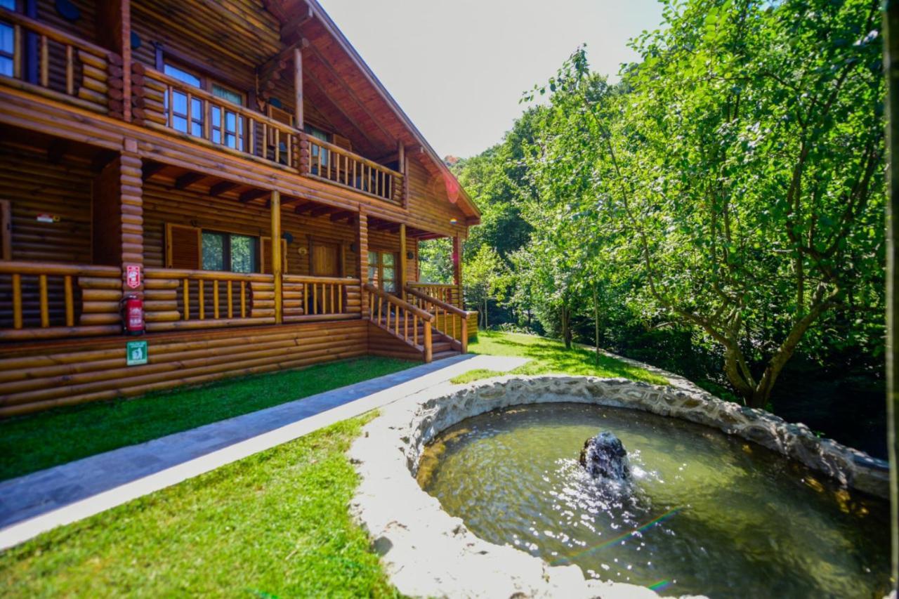 Naturkoy Sapanca Sakarya  Ngoại thất bức ảnh