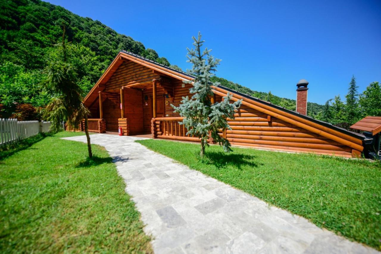 Naturkoy Sapanca Sakarya  Ngoại thất bức ảnh