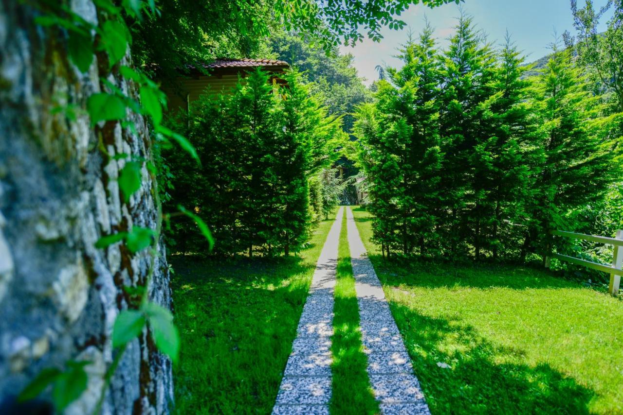 Naturkoy Sapanca Sakarya  Ngoại thất bức ảnh